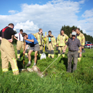Lustenau: Rind aus Graben geborgen