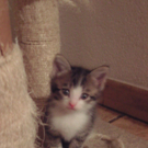 BILD0115_JPG-1284140403