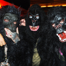 DSC_3568_JPG-1284205879.jpg