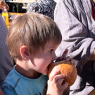 DSC00025.JPG