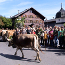 DSC00032.JPG