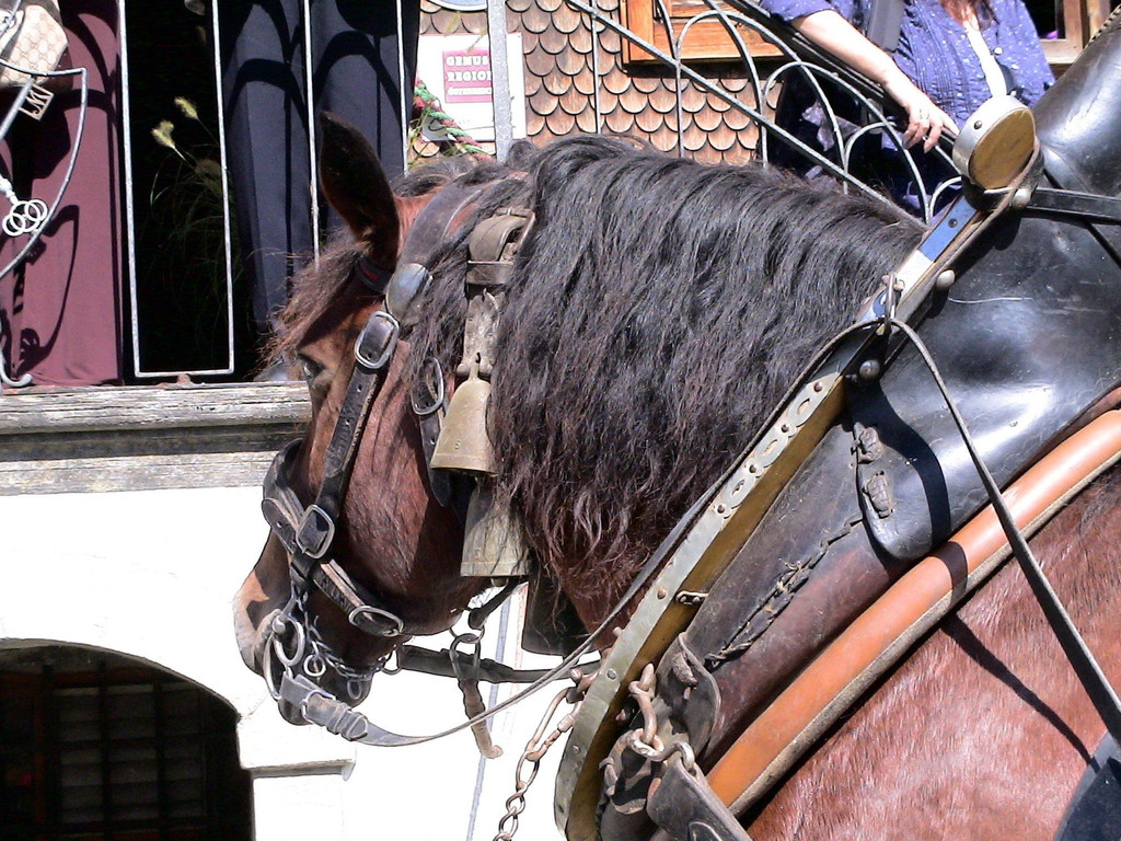 DSC00061.JPG