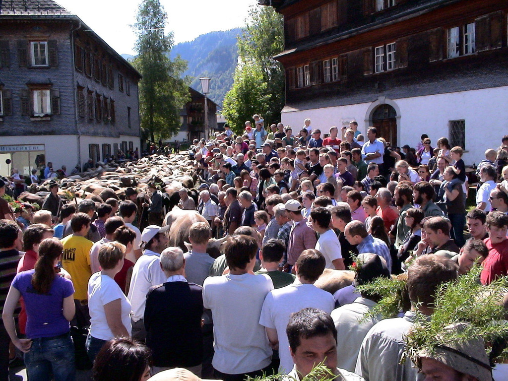 DSC00070.JPG