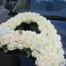 IMG_4871_JPG-1284212786