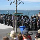 IMG_3850 _Large__JPG-1284214280