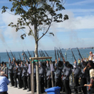 IMG_3851 _Large__JPG-1284214282