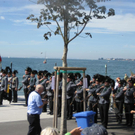 IMG_3852 _Large__JPG-1284214285