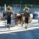 IMG_3612_jpg-1284214660