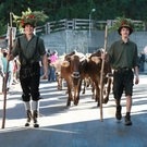 IMG_3613_jpg-1284214668
