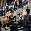 IMG_3648_jpg-1284214690