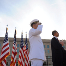 dc1-5w59jtoh6q912eq1r4an_original.jpg