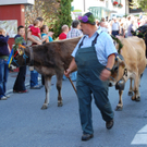 DSC_0023.JPG