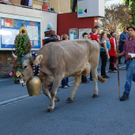 DSC_0027.JPG