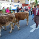 DSC_0031.JPG