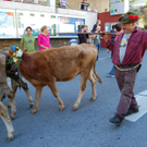 DSC_0032.JPG