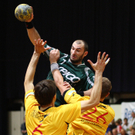 Handball, HLA, Wiener Stadthalle: Westwien - Krems 28:28