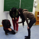 Mobbing 009.jpg