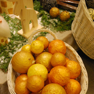 DSC_0027.JPG
