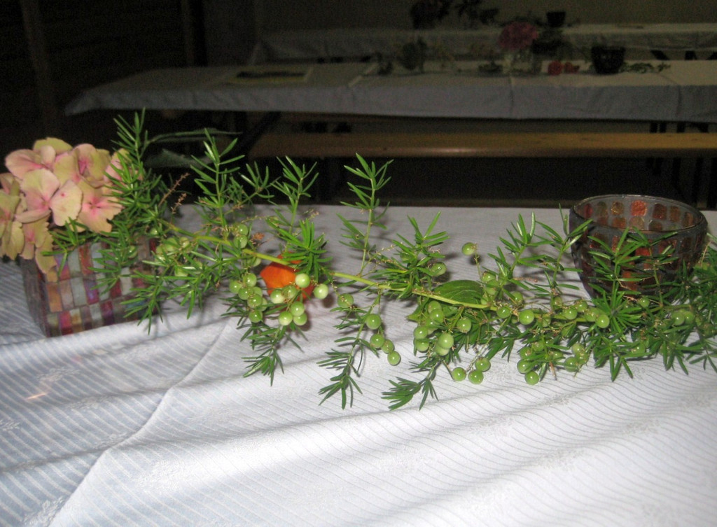 IMG_8739_JPG-1284298095