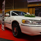 IMG_6184.jpg