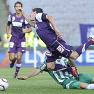 derby9.jpg