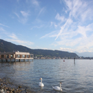Kaiserfest TAG 2 _30__jpg-1284316642