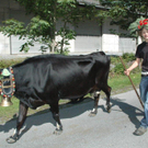 DSC_2356.jpg