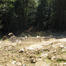 Ruggburg Stra__e Sch__den 012.jpg