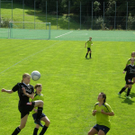 P9120108_JPG-1284357935