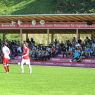 a Egg 12_09_2010 205_jpg-1284368402