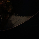 normal_121109oelslgaaktivnews_02.jpg
