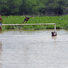 flood2.jpg