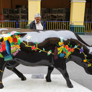 cow1.jpg