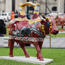 cow2.jpg