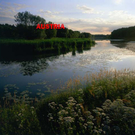 NOE Donauauen bei Stopfenreuth  Nationalpark Donau-Auen.jpg