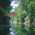 NOE Nationalpark Donau-Auen.jpg