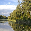 W Lobau.jpg