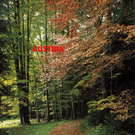 W Wienerwald.jpg