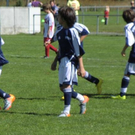 CIMG1036 _Medium_.JPG