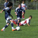 CIMG1046 _Medium_.JPG