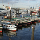 DSC08852_JPG-1284384744