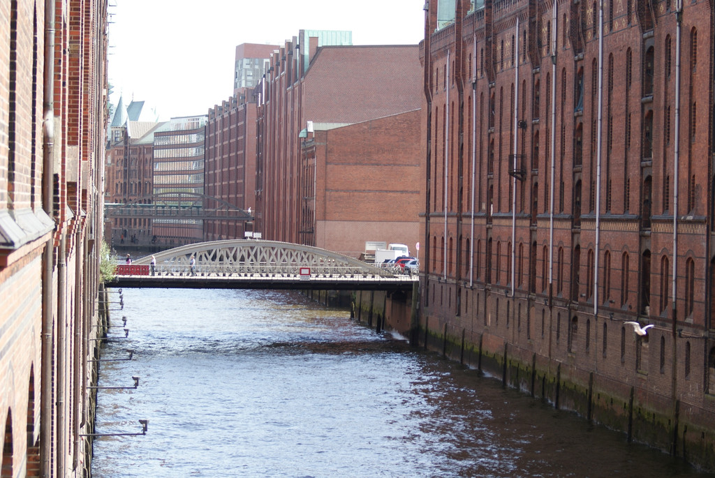 DSC08941_JPG-1284385134
