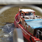 DSC08989_JPG-1284385448