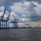 DSC09119_JPG-1284385827