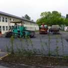 106_0598_jpg-1284393738