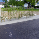 106_0634_jpg-1284393821