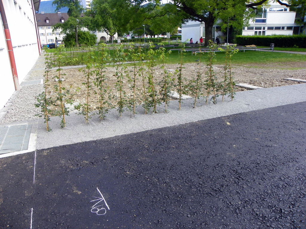 106_0634_jpg-1284393821