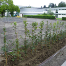 106_0470_jpg-1284393832