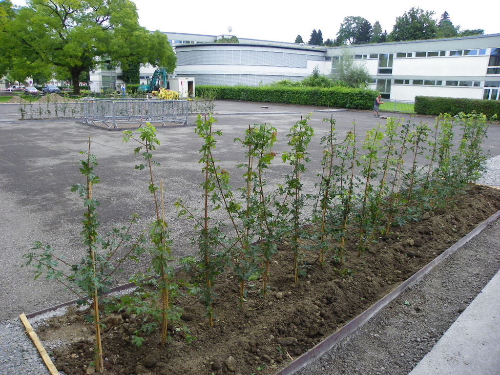 106_0470_jpg-1284393832