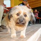 a Egg 12_09_2010 222_jpg-1284396987.jpg